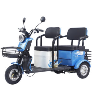 Three Wheel Electric Bike for Adults, Foldable and Detachable Rear Seats