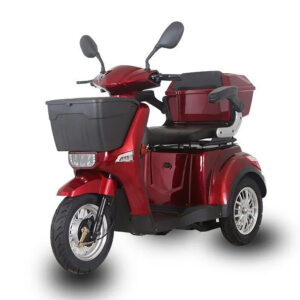 Electric Scooter Popular Disabled Person 3 Wheel Electric Mobility Scooter