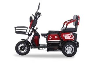 Leisure Scooter for The Elderly/Adults, Electric Scooter for Driving, Electric Small Mini Tricycle